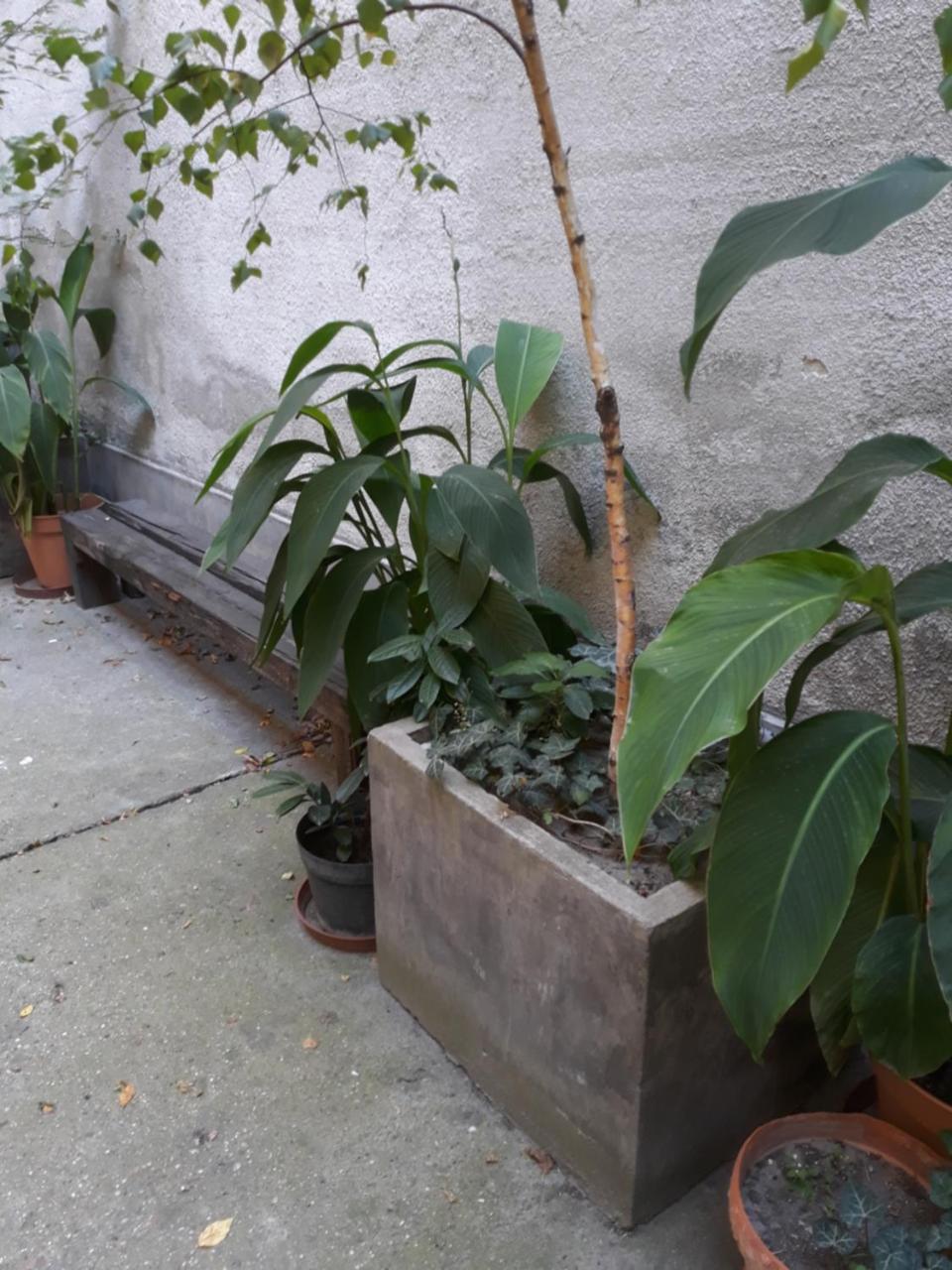 Connection Guesthouse Budapest Luaran gambar
