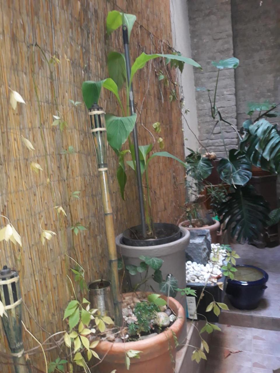 Connection Guesthouse Budapest Luaran gambar