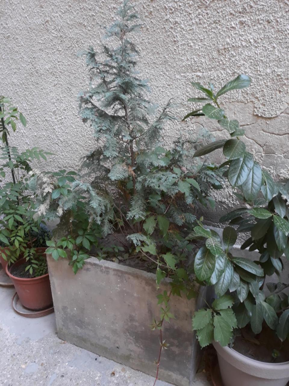 Connection Guesthouse Budapest Luaran gambar