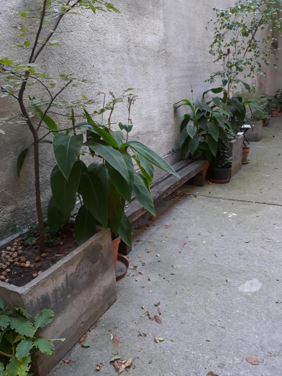 Connection Guesthouse Budapest Luaran gambar