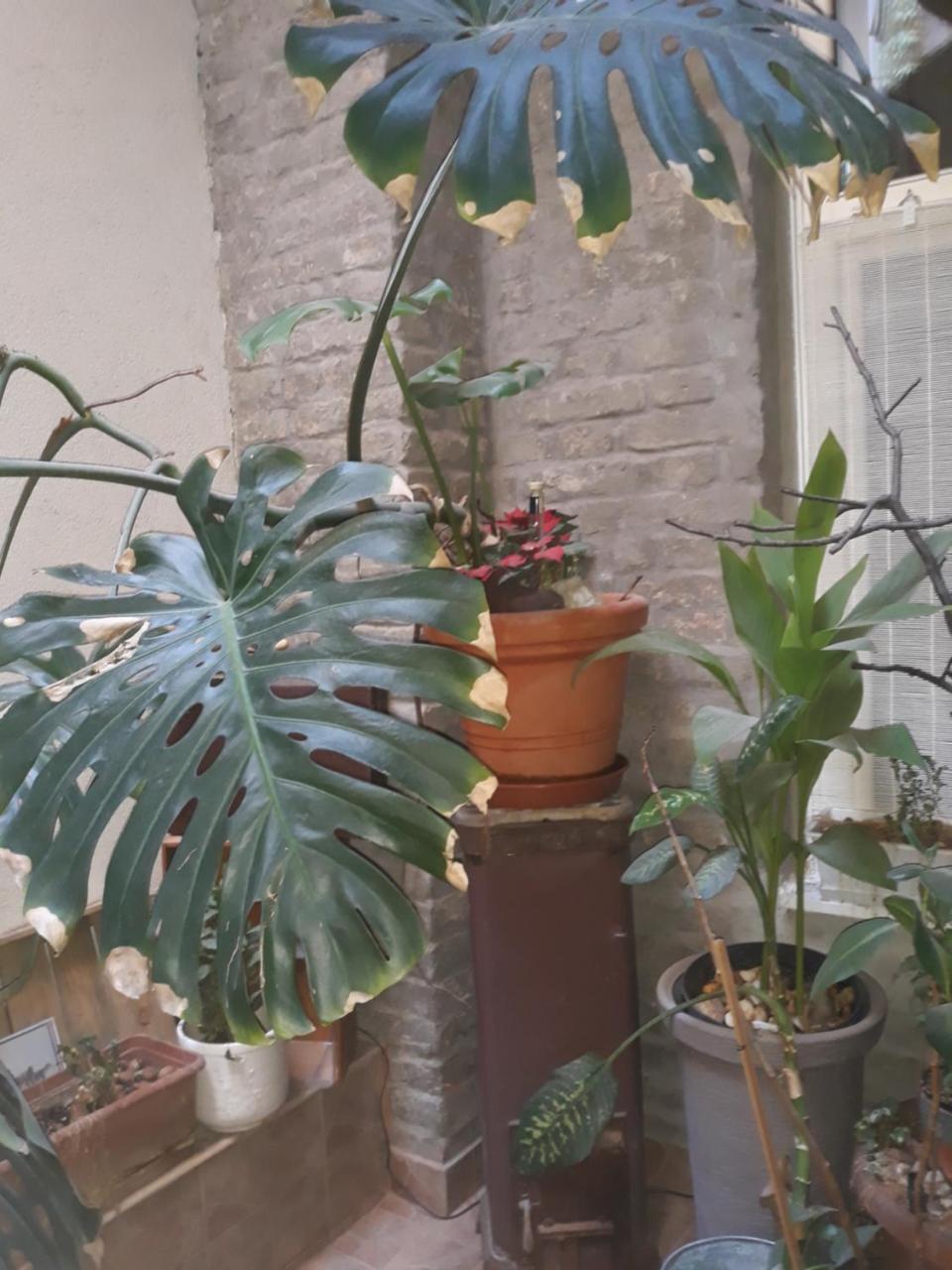 Connection Guesthouse Budapest Luaran gambar